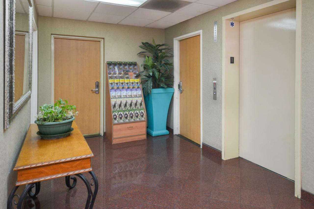 H3 Inn & Suites - Lax Airport - Los Angeles Inglewood Eksteriør bilde